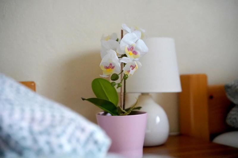 Homestay U Malika-blisko Do Term Szaflary I Goracy Potok-rabaty