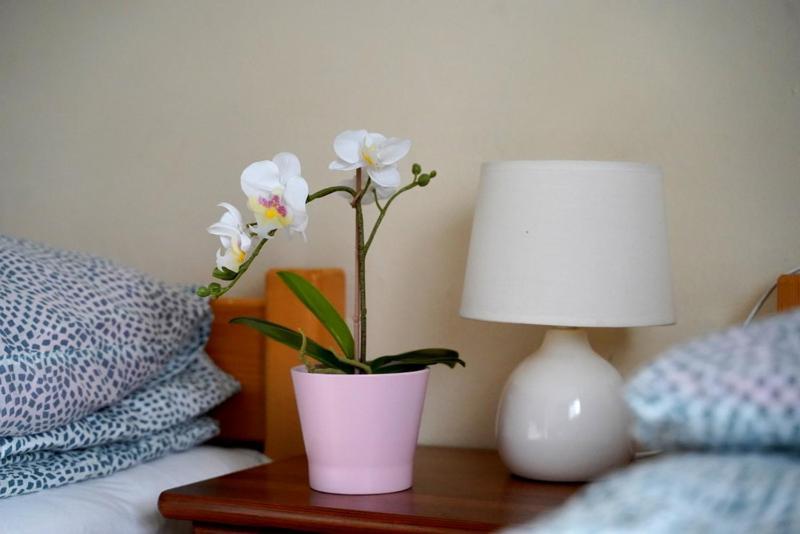 Homestay U Malika-blisko Do Term Szaflary I Goracy Potok-rabaty